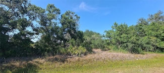 17537 NW 262nd St, Okeechobee, FL 34972