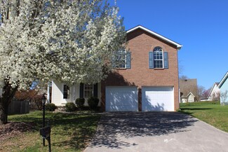 6985 Yellow Oak Ln, Knoxville, TN 37931