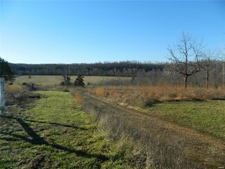13607 Bullhead Ln Unit 19061824, Sedgewickville, MO 63781