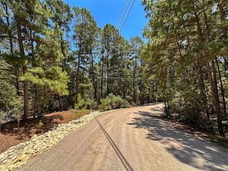 133 Wainee Dr, Bastrop, TX 78602