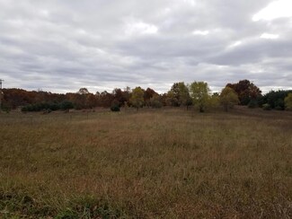 0 MacClain Parcel A St NE, Gowen, MI 49326