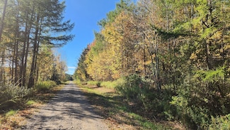 0 Wagner Rd Unit 25650308, Dansville, NY 14437