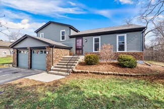 1001 Bear Paw Ct, Carol Stream, IL 60188