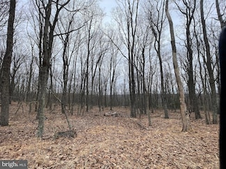 459-460 Spring Mountain Dr, North Union Township, PA 17985