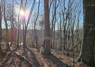 tbd Clark Rd, Hiwassee, VA 24347