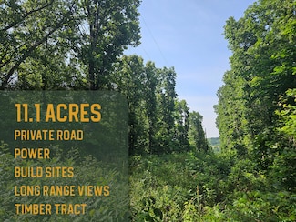 0 Private Drive Off Yy Unit 60296926, Norwood, MO 65717