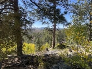 3203 Highland Meadows Dr, Florissant, CO 80816