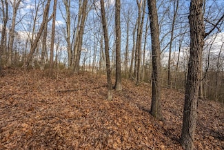 TBD New Hope Rd Unit 1, Cross Junction, VA 22625