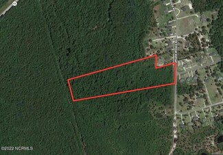 0 Brians Woods Rd, Stump Sound, NC 28454