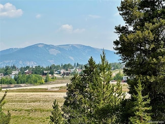 140 Brooklyn Cir Unit 21, Leadville, CO 80461