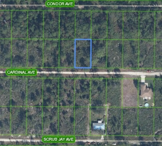 0 Cardinal Ave, Sebring, FL 33870