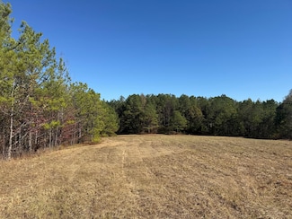 0 Backbone Church Rd Unit 25581317, Gordo, AL 35466