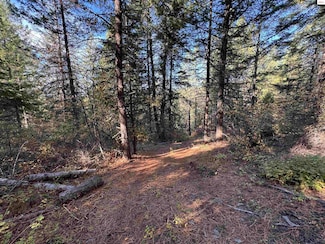 NNA Rocky Rd W, Sagle, ID 83860