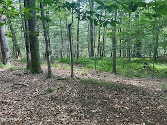 712 Basswood Terrace, Palmyra Township, PA 18426