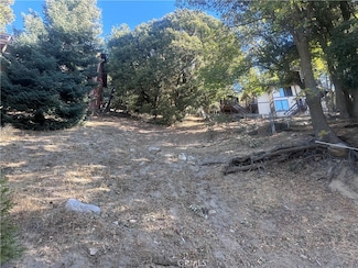 1 Chillon Dr, Crestline, CA 92325