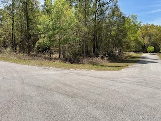 LOTS 10,11 SW 202nd Ct, Dunnellon, FL 34431