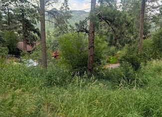 0 Mountain Rd Unit 8603063, Cascade, CO 80809