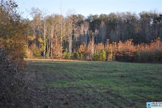 0 County Road 336 Unit 1, Maplesville, AL 36750