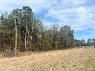 0 Mississippi 15, Louin, MS 39338