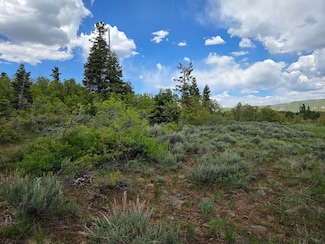 Lot 10 Spring Dr, Virgin, UT 84779