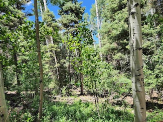 1506 Clarke Mountain Rd, Antonito, CO 81120