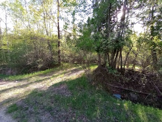 Lots 6-7 Brassie Ct, Butman Township, MI 48624