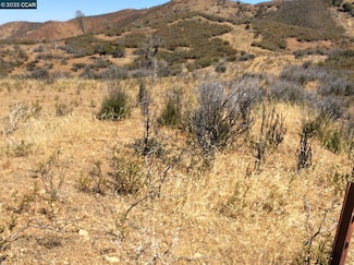0 Del Puerto Canyon Rd Unit 41099811, Patterson, CA 95363