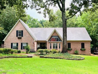 7681 Savannah Cove, Olive Branch, MS 38654