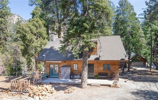 9408 Mill Dr, Forest Falls, CA 92339