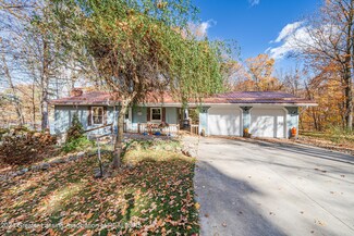4445 Skyline Dr, Perrinton, MI 48871