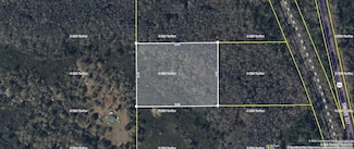 TBD U S 221 Hwy N, Greenville, FL 32331
