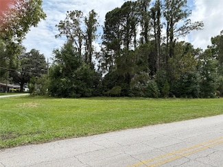 0 Pine Island Dr Unit MFRG5096955, Leesburg, FL 34788