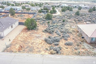 1154 E Big Pinion Ln, Apple Valley, UT 84737