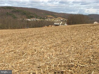 0 Grove St Unit 1003619154, Orwigsburg, PA 17961