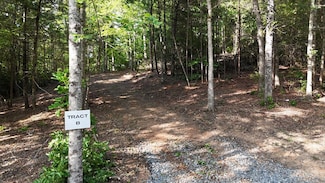 TR B E New Hope Rd, Ellijay, GA 30536