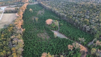 6580 Hwy 431 S, Pittsview, AL 36871