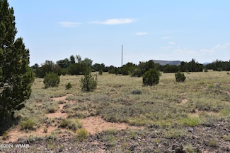 74 Evergreen Ln, Concho, AZ 85924