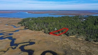 134 Blackbeard Ct NE, Townsend, GA 31331