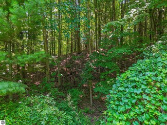 000 N West Torch Lake Dr, Kewadin, MI 49648