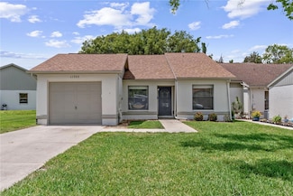 11725 Spring Tree Ln, Port Richey, FL 34668