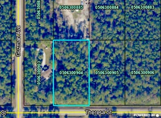 4260 Theresa St, Hastings, FL 32145