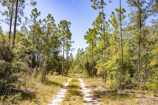 XX1 NW Old Burnt Bridge Rd, Telogia, FL 32360