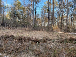 2.31+/- Hwy 97, Abbeville, AL 36310