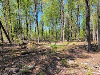 000 Bristol Ln, Randleman, NC 27317