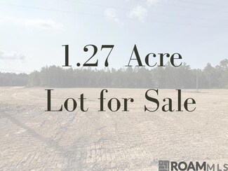 19121 Louisiana 444, Livingston, LA 70754