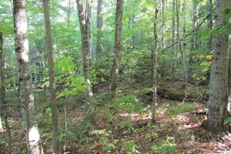 00 Vernon Ave Unit 77, Haverhill, NH 03785