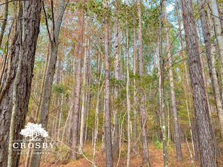 0 Possum Point Rd, Townsend, GA 31331