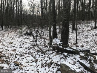 0 Camp Ln Unit PAJT2005594, Mc Alisterville, PA 17049