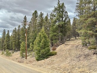 2403 Redhill Rd, Fairplay, CO 80440