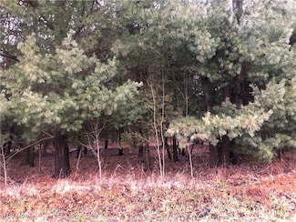 6980 Bear Swamp Rd, Medina, OH 44256